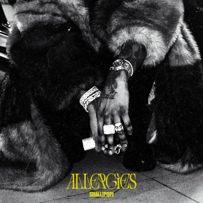 Allergies by Shallipopi cover art