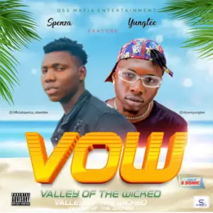 Vow Album Cover
