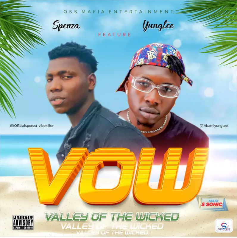Vow by Spenxa cover art