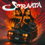 Show Me Art Cover