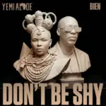 Don't Be Shy Art Cover